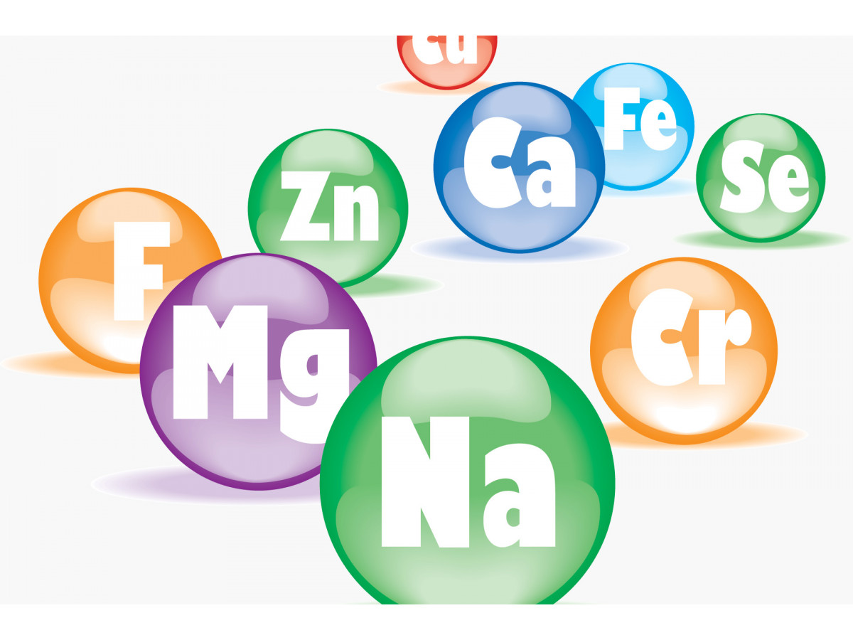  Без микроэлементов – нет здоровья и нормальной жизни?